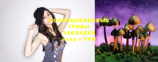 ECSTASY Медвежьегорск