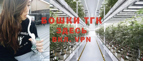 тгк Мегион
