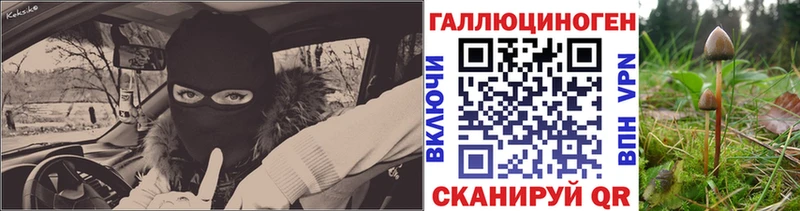 Галлюциногенные грибы Magic Shrooms  Смоленск 